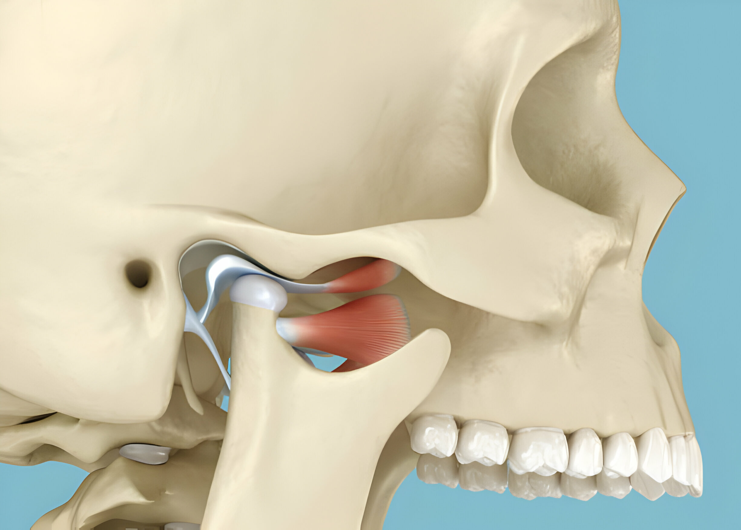 TMJ Treatment In Columbia, SC: What You Need To Know_2